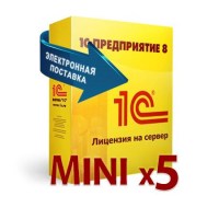 server-mini-x5-elect-license