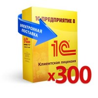 users-license-elect-x300